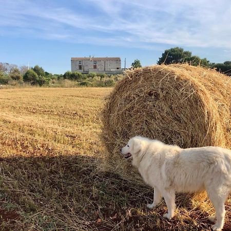 Agriturismo La Palascia Masseria Agreste 奥特朗托 外观 照片
