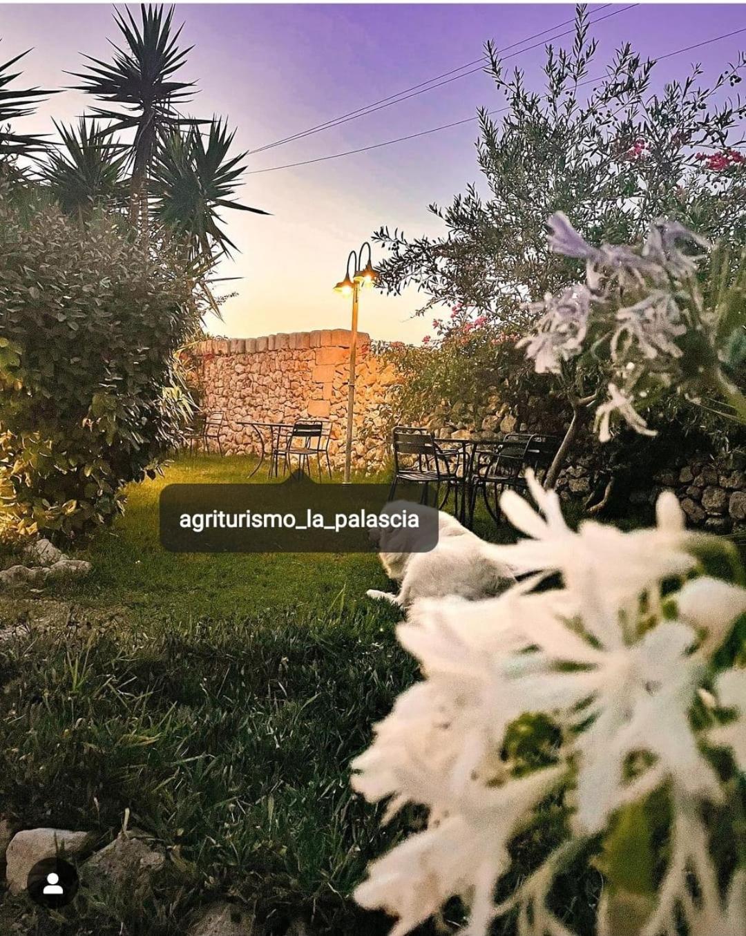 Agriturismo La Palascia Masseria Agreste 奥特朗托 外观 照片