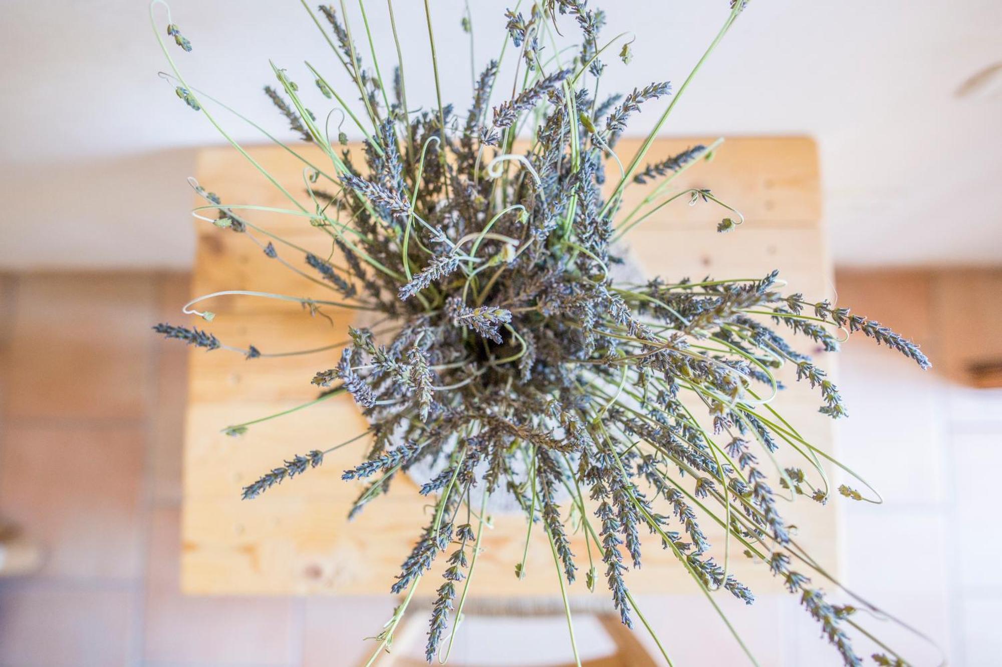 Agriturismo La Palascia Masseria Agreste 奥特朗托 客房 照片