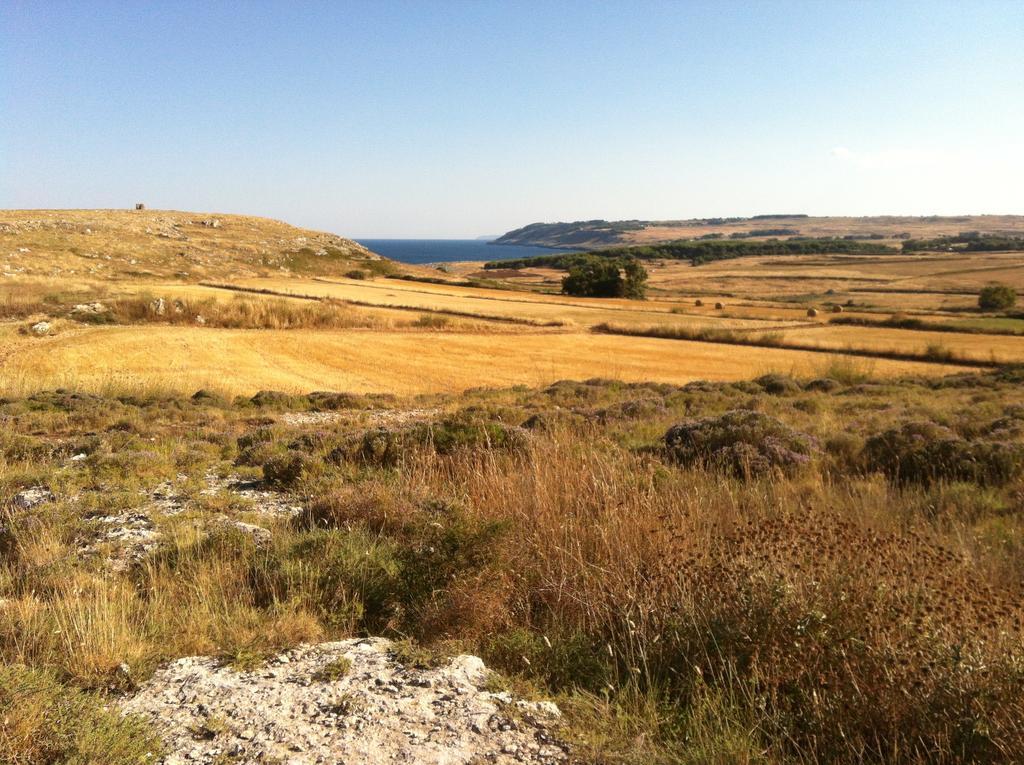 Agriturismo La Palascia Masseria Agreste 奥特朗托 外观 照片