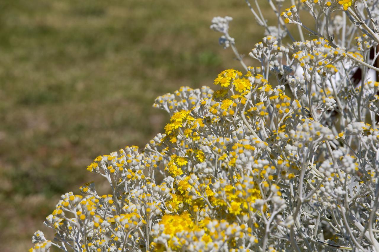 Agriturismo La Palascia Masseria Agreste 奥特朗托 外观 照片