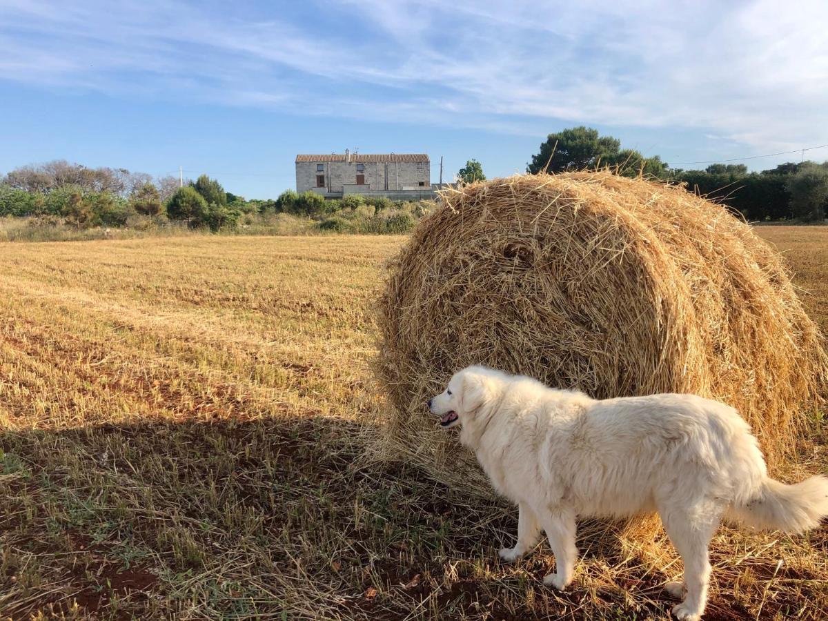 Agriturismo La Palascia Masseria Agreste 奥特朗托 外观 照片