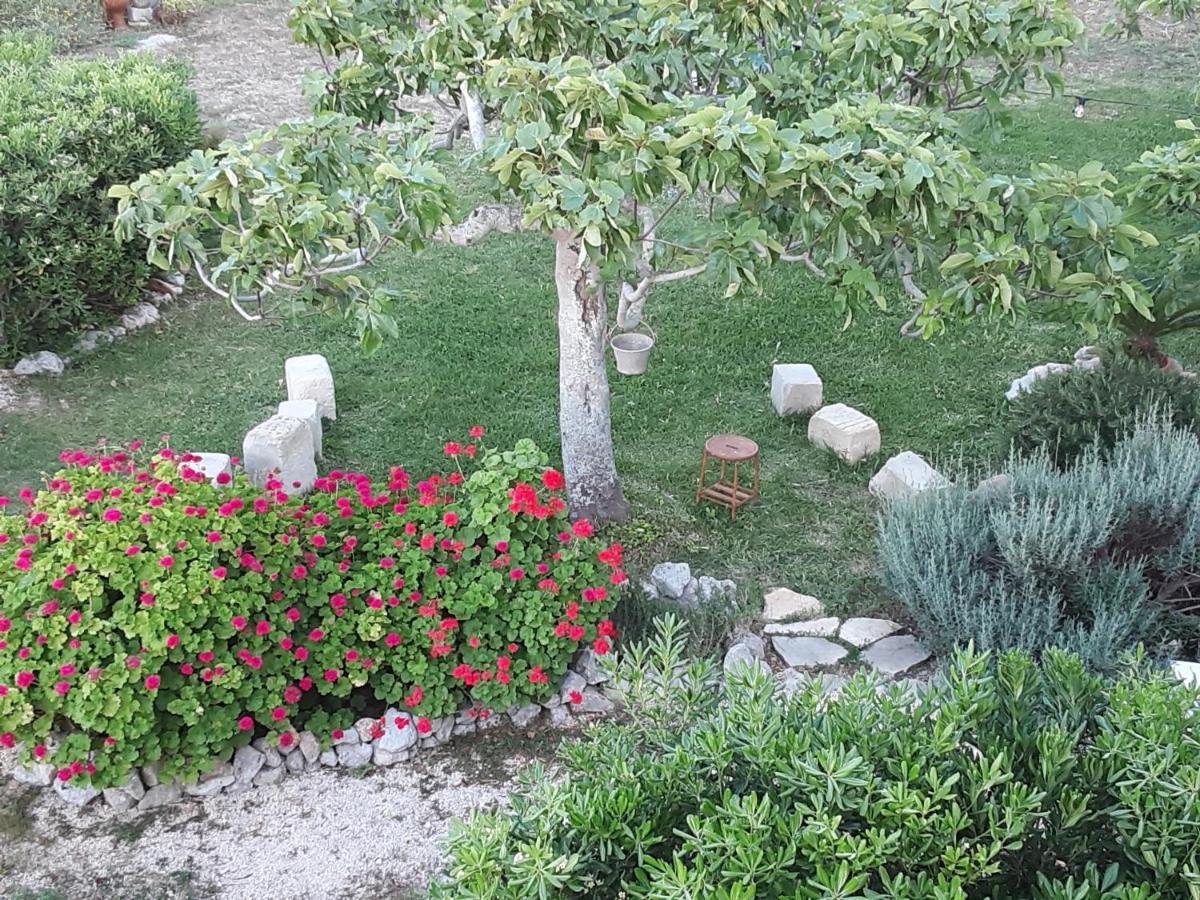 Agriturismo La Palascia Masseria Agreste 奥特朗托 外观 照片